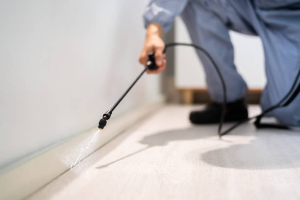 Licensed Termite Control service in Atlanta, IL - Nex Pest Control