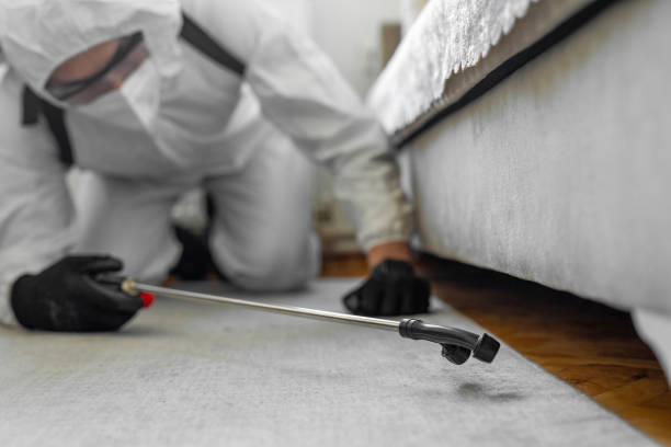 Professional Termite Control technician working in Atlanta, IL