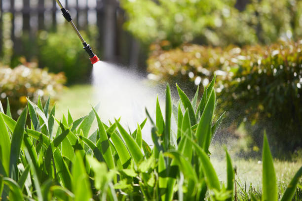 24/7 Emergency Termite Control experts in Atlanta, IL