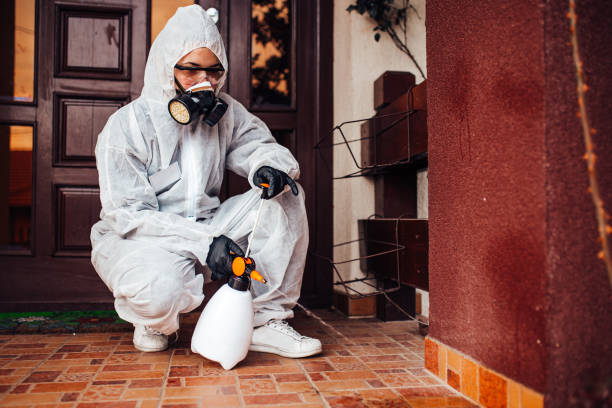 Reliable Termite Control contractor in Atlanta, IL by Nex Pest Control