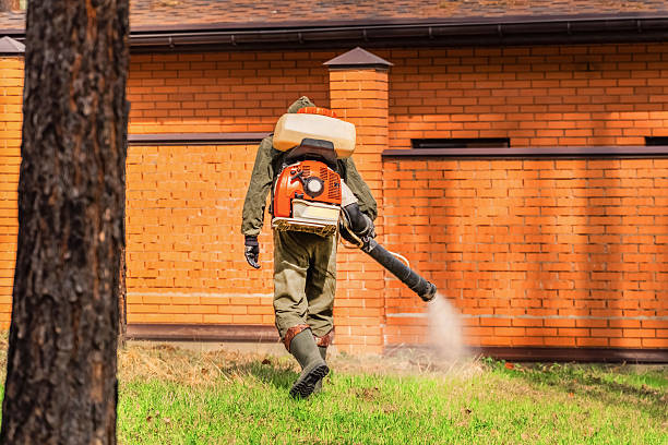 Top rated local Termite Control specialists in Atlanta, IL